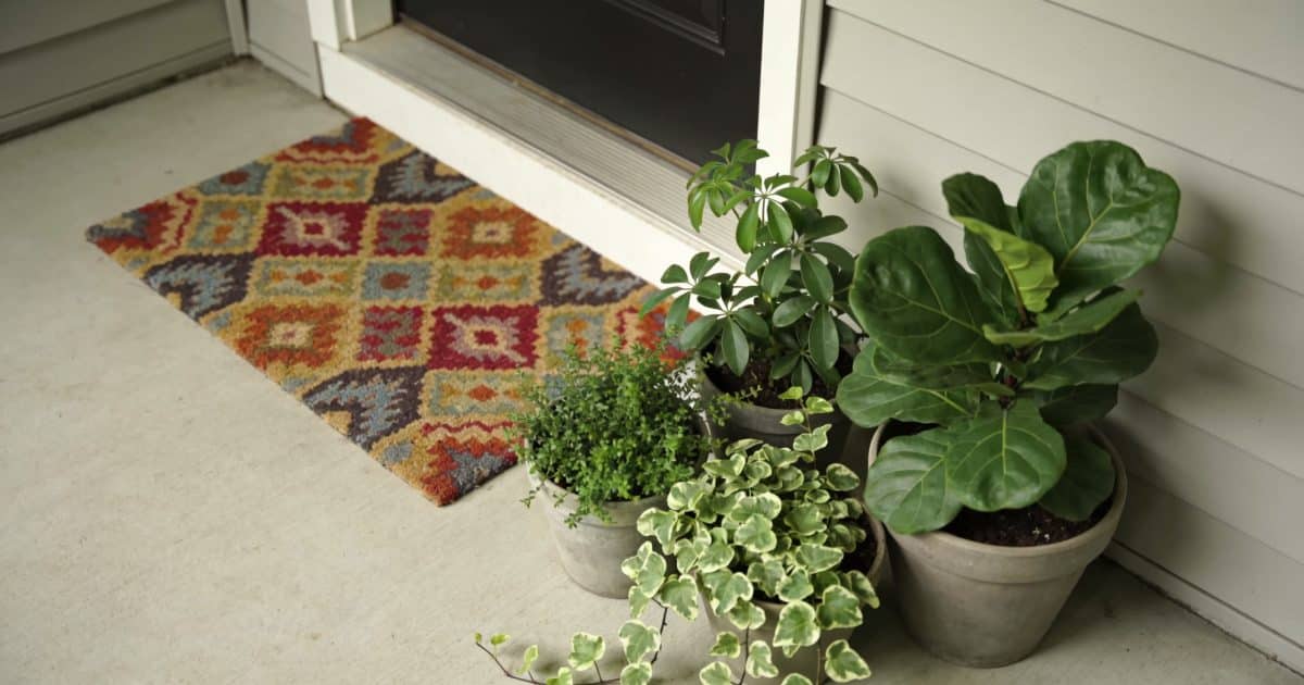 Une entrée de maison avec un tapis coloré et des plantes vertes.