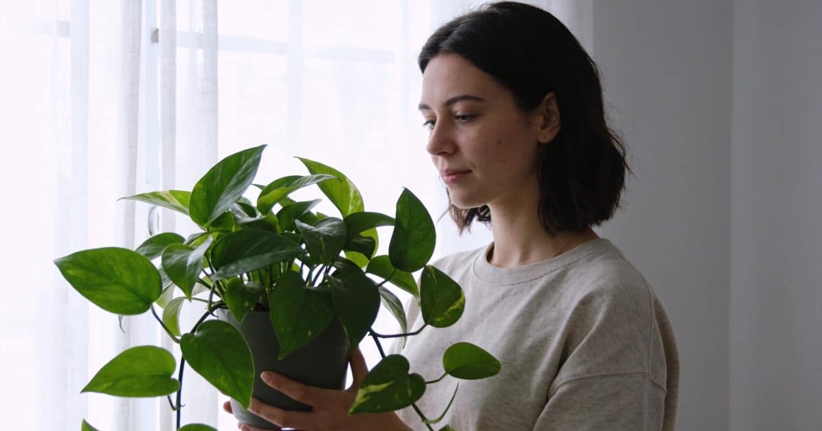Femme tenant une plante verte devant une fenêtre.