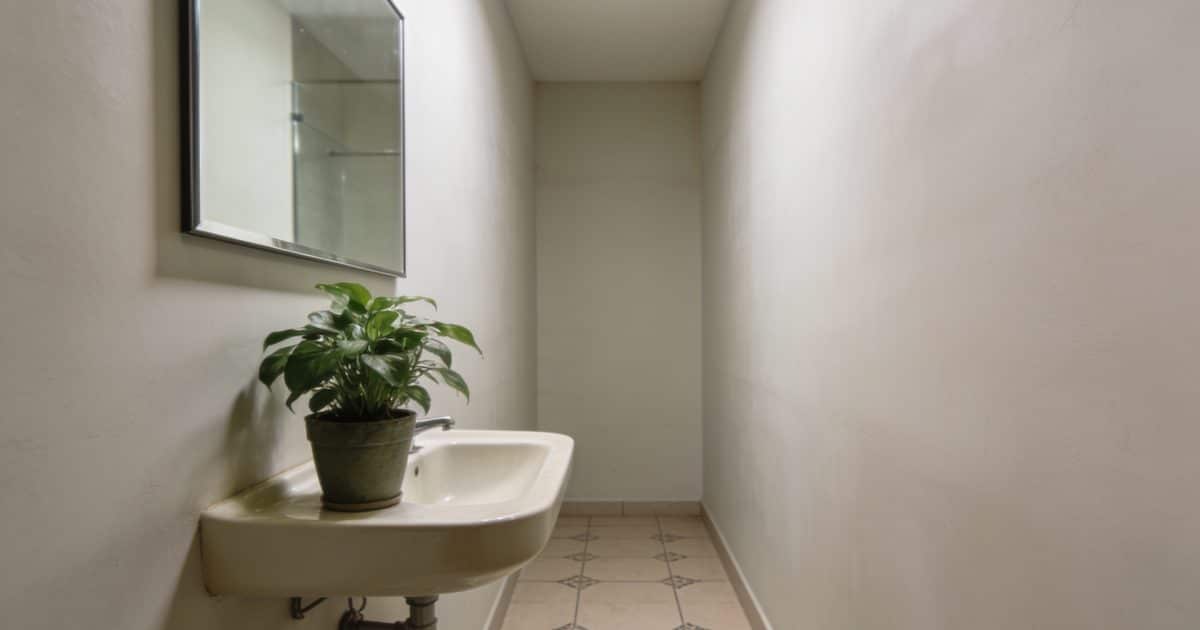 petite salle de bain allongée avec lavabo et miroir